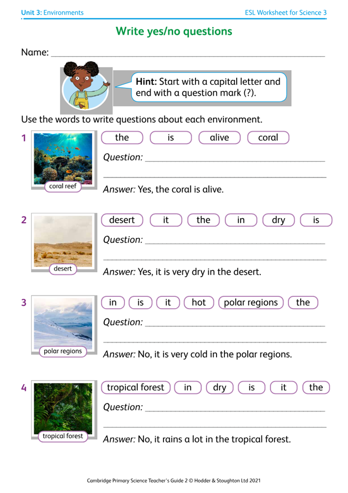 esl worksheet 3 write yes no questions boost